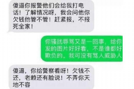 晋源晋源的要账公司在催收过程中的策略和技巧有哪些？